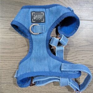 Sassy Woof Dog Harness, Size Small